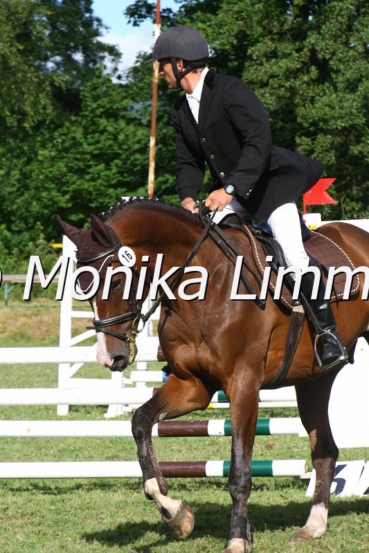 007L8844_Angels Boy_Springpferde_Axx.JPG